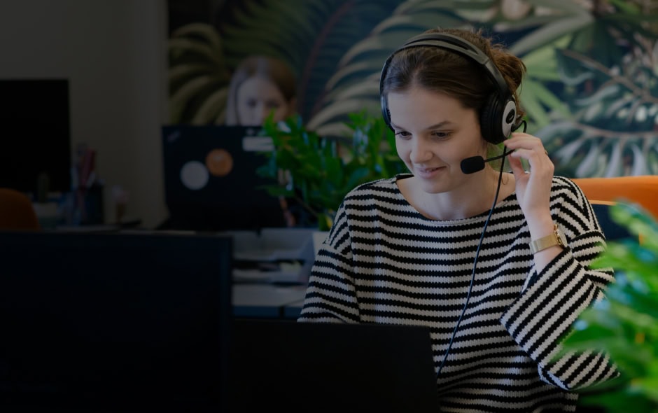 <p><strong>Karriere</strong></p>