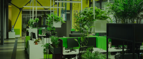What is Green and Sustainable Software Development