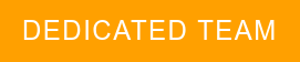 Team Leaders in project management: 10 must-have hard skills for effective leadership DEDICATED TEAM
